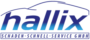Logo Schaden Schnell Service GmbH