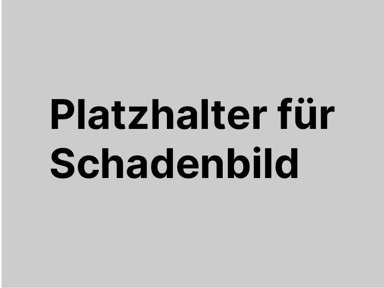 platzhalterbild